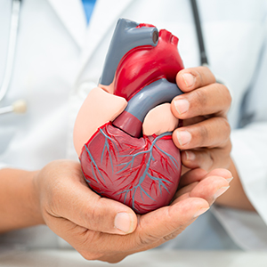 cardiologist in jagtial